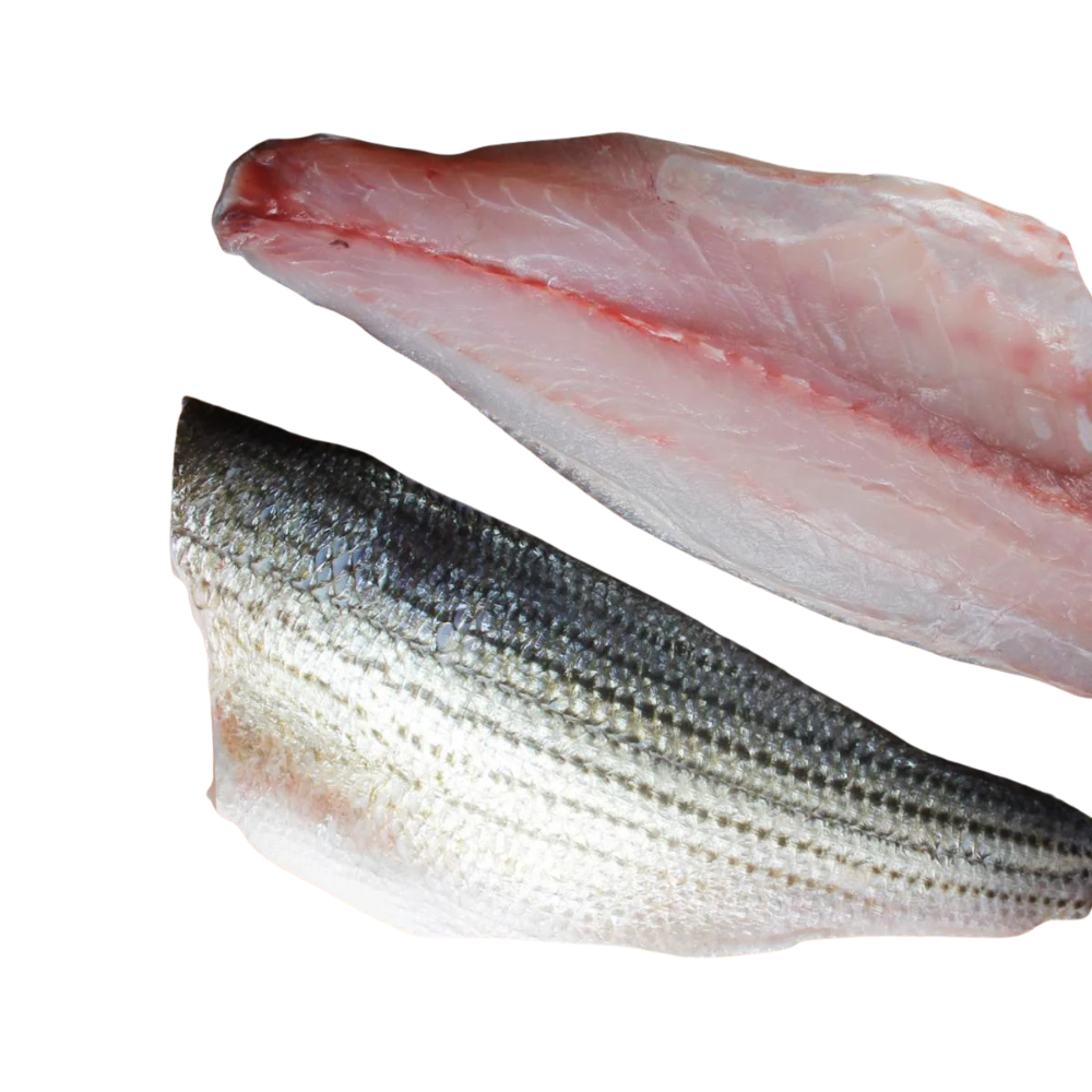 5lb Striped Bass Filet With Skin On
