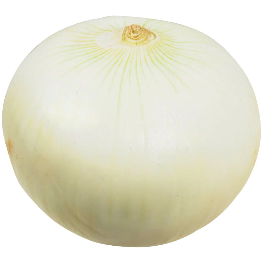 Jumbo White Onion