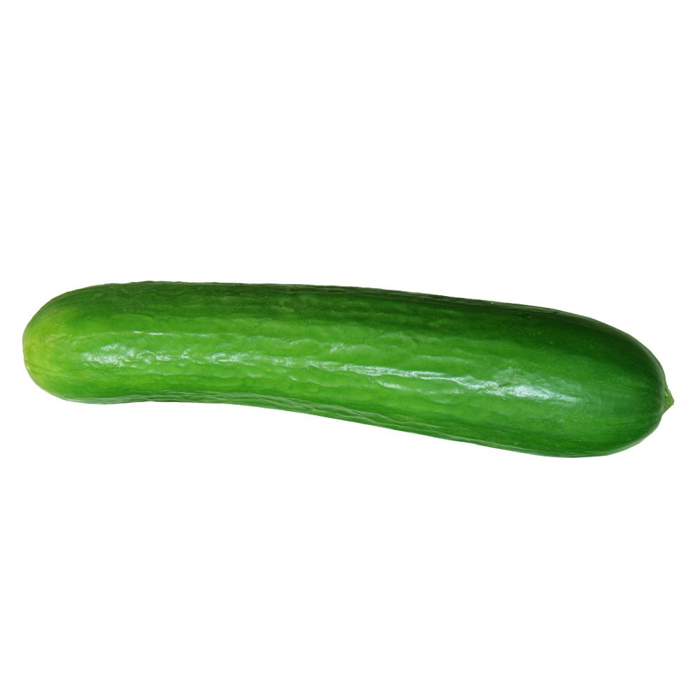 Persian Cucumber