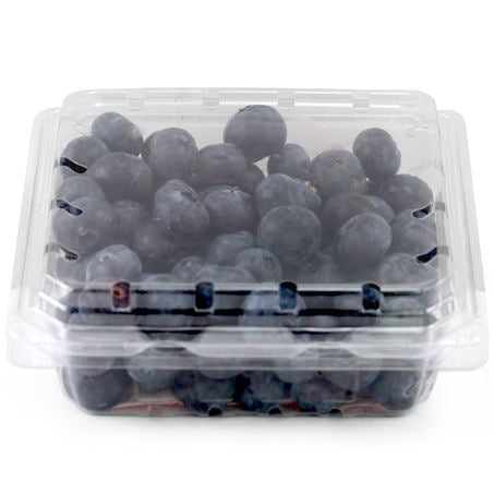 Blueberry