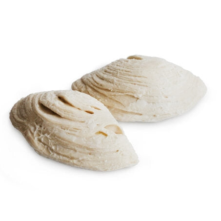 Mini Frozen Sfogliatelle