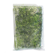 Chopped Broccoli In Bulk