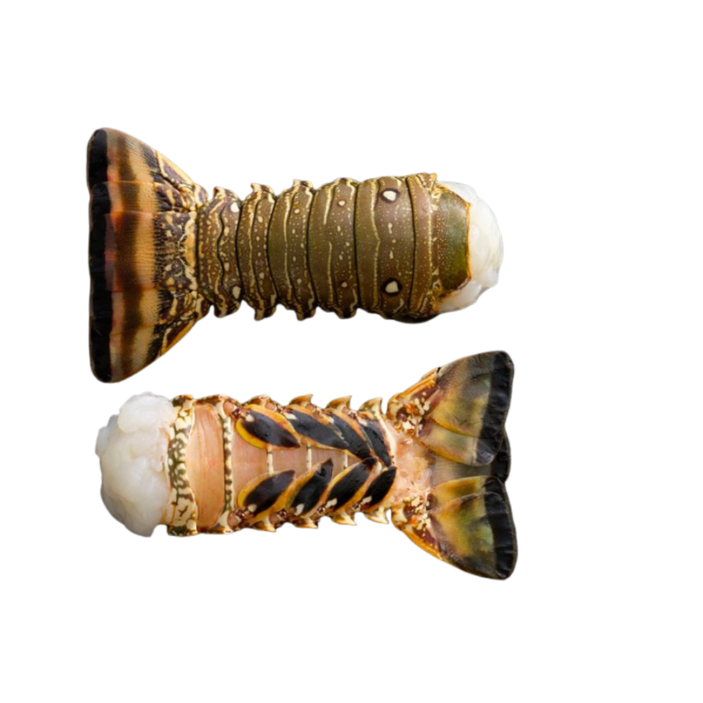 4oz Warm Water Lobster Tails