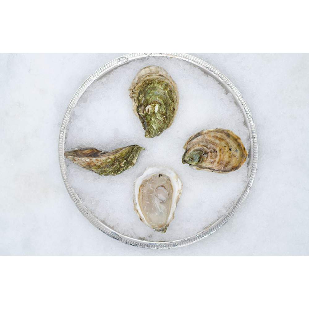 Mystic Oysters