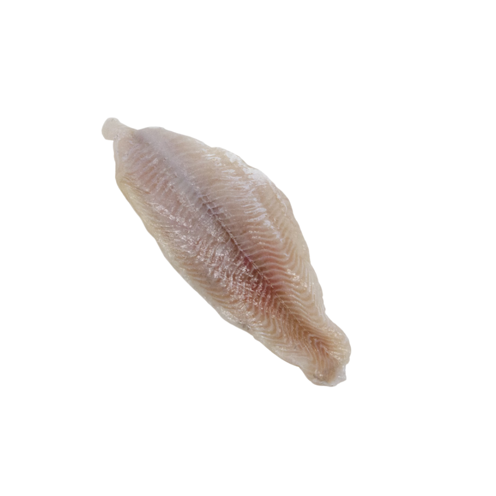 7-9oz IQF Catfish Fillet