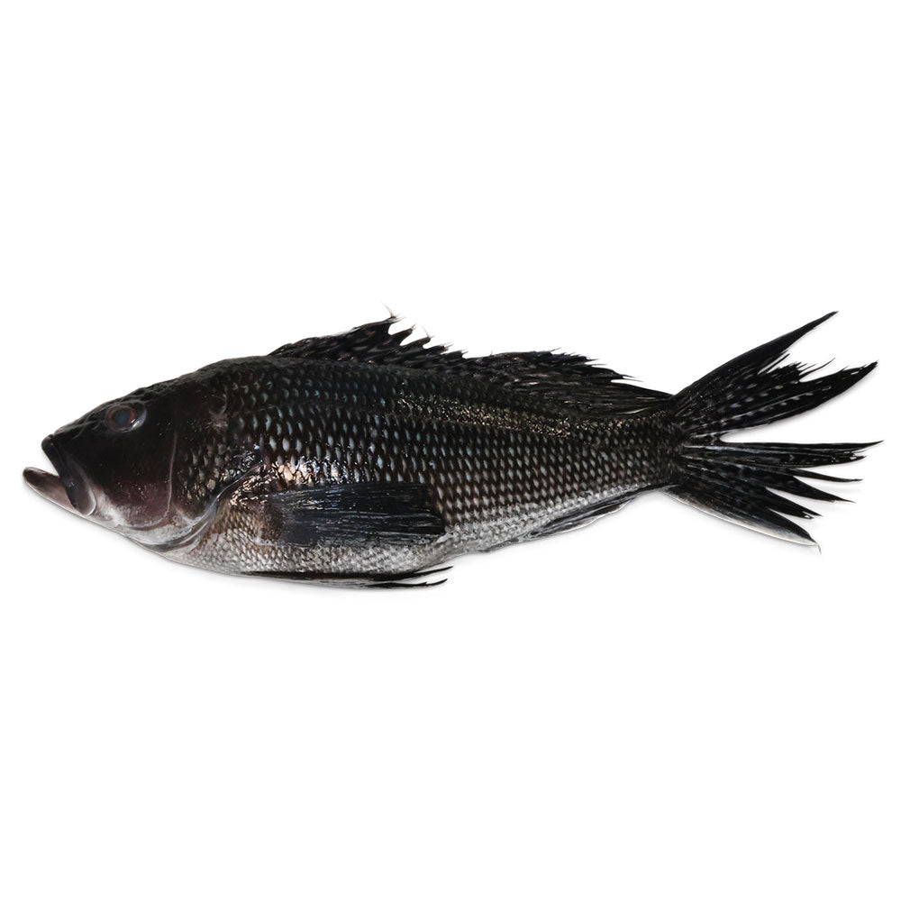 Whole Black Sea Bass