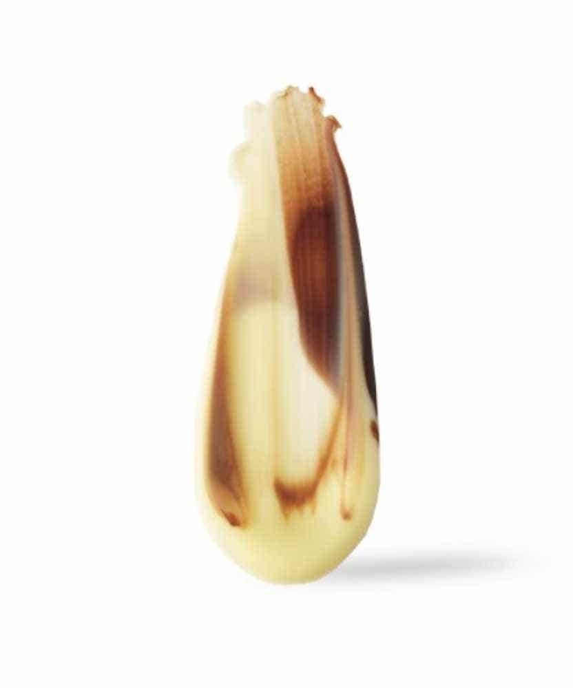 Artisanal Chocolate Feathers