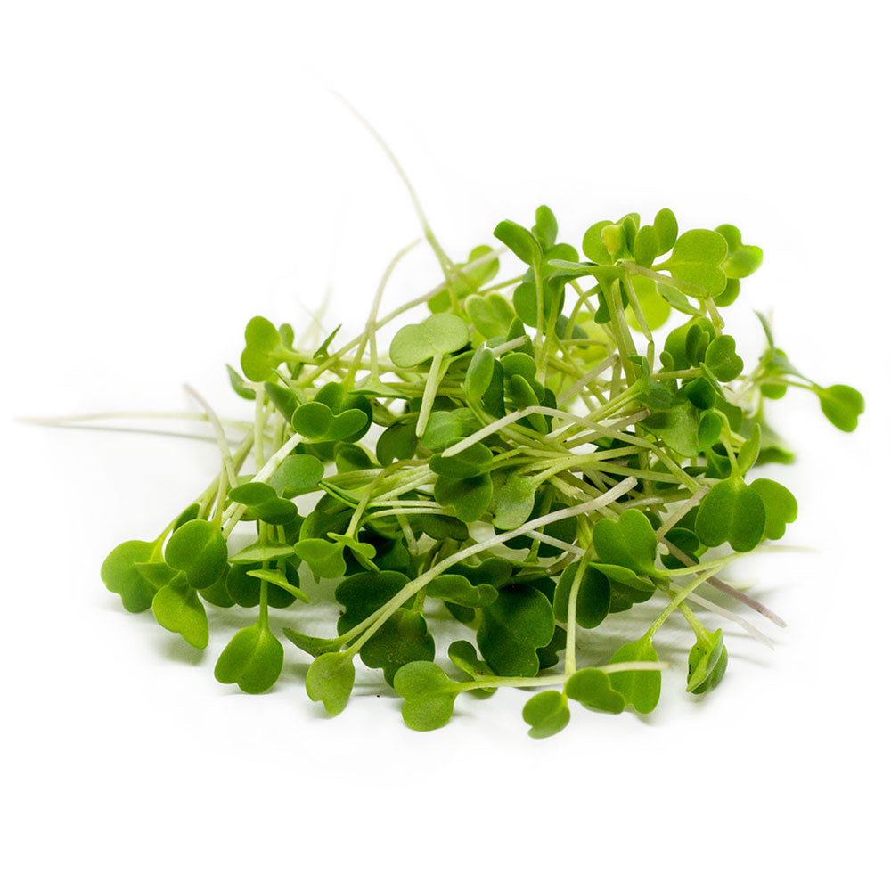 Micro Arugula