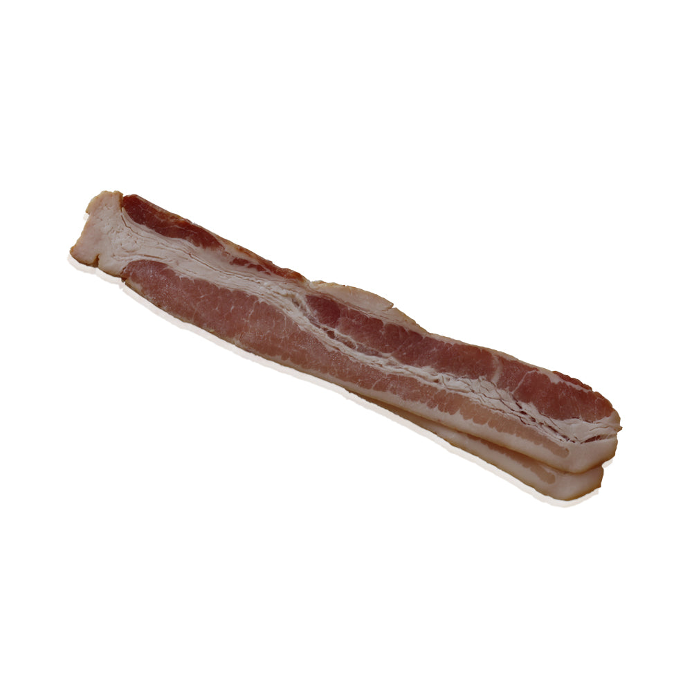 Layout Bacon 18-22