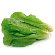 Romaine Heart Lettuce