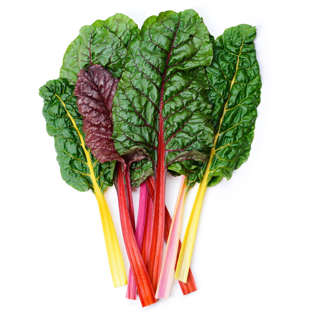 Rainbow Swiss Chard