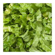 1/8 Shredded Lettuce