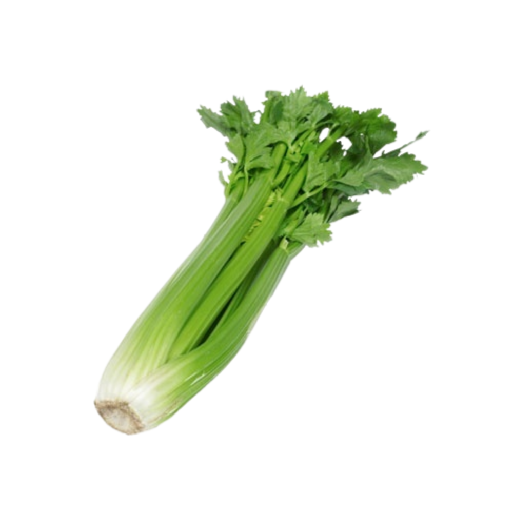 Sleeve Celery