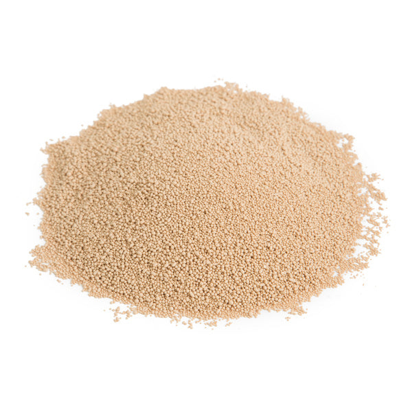 Dry Active Yeast