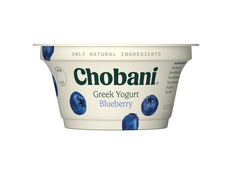 Blueberry Greek Yogurt