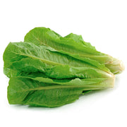 Romaine Leaf Lettuce