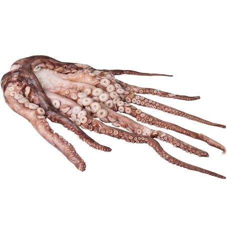 Spanish Octopus 2-4lb