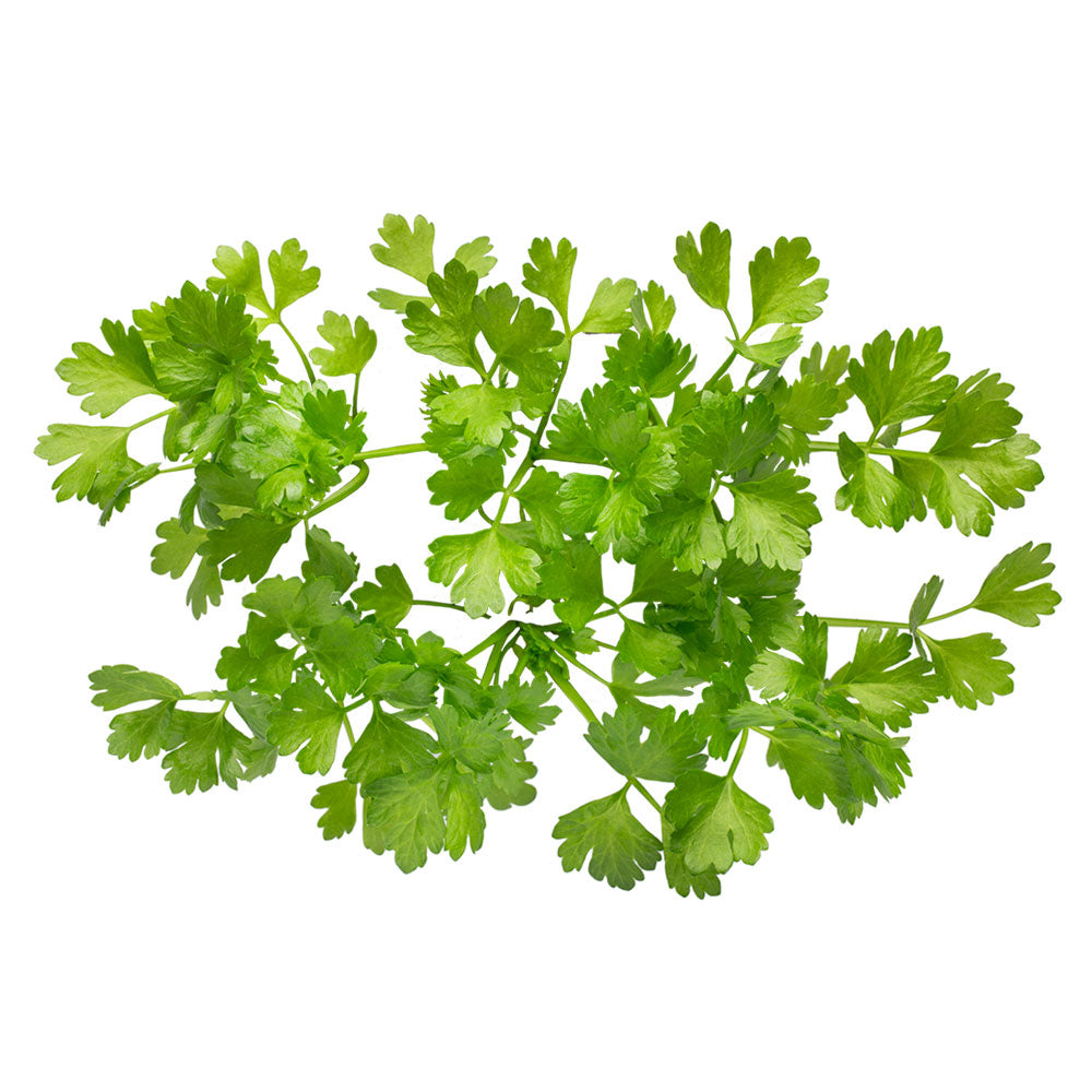 Micro Celery