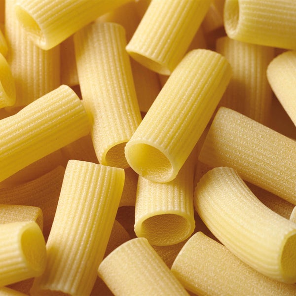 Rigatoni Pasta