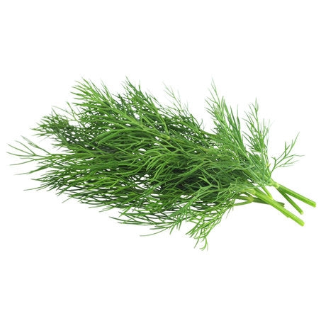 Dill