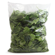 Washed Spinach