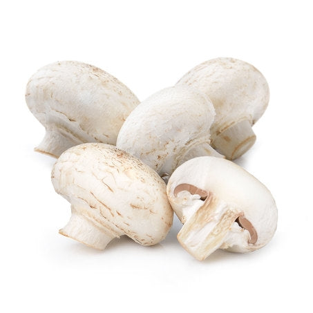 Medium Mushrooms