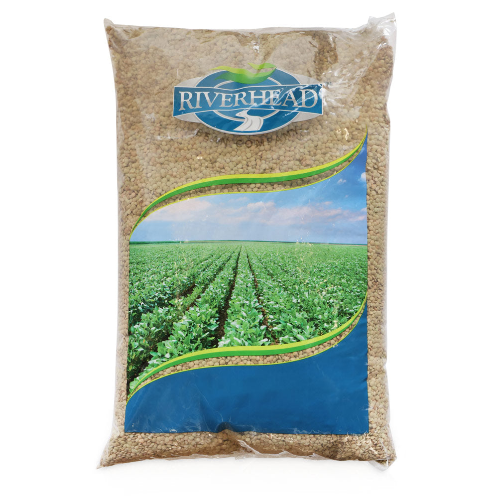 Dry Lentils