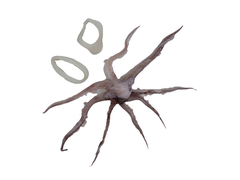 Raw Squid Rings & Tentacles