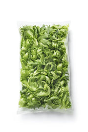 Baby Crispy Green Leaf Lettuce