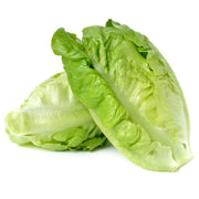 Baby Green Romaine Lettuce