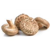 Small Portabello Mushroom