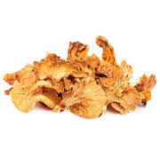 Dried Chanterelle Mushroom