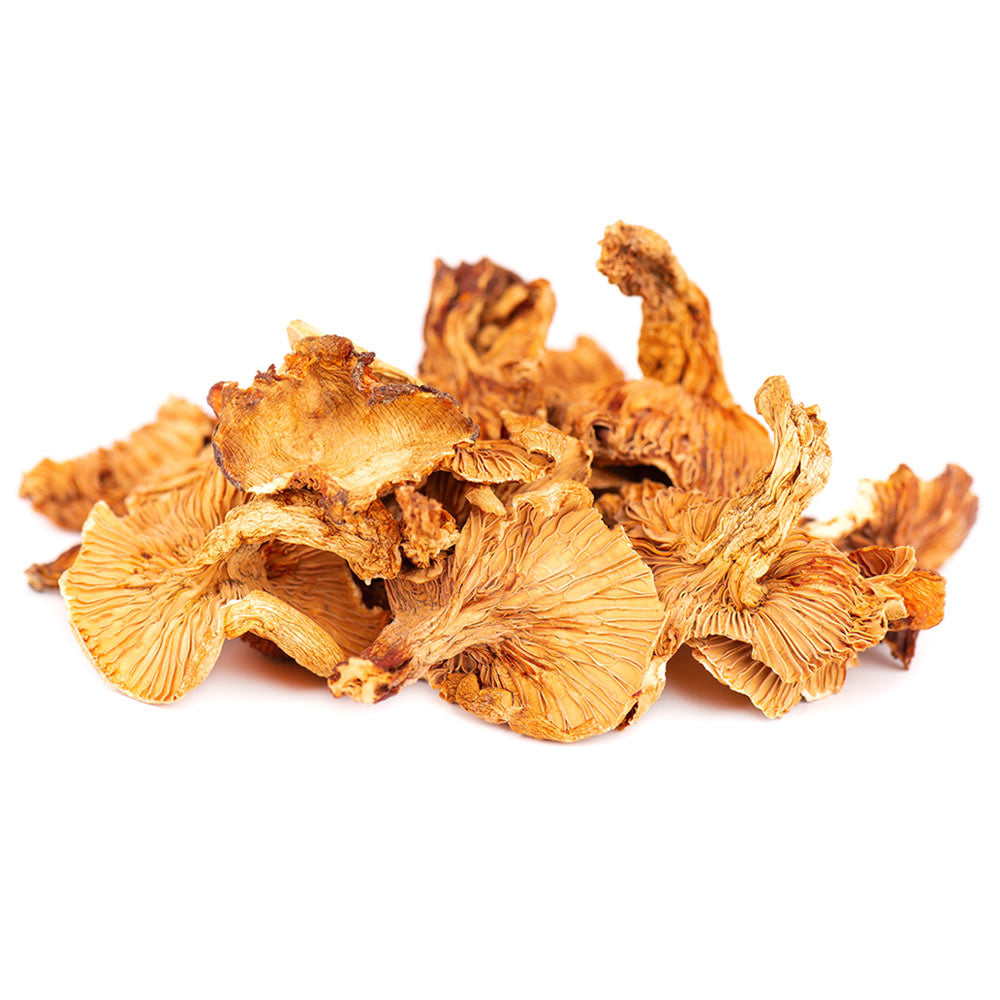 Dried Chanterelle Mushroom