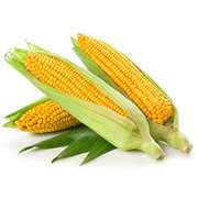 Corn