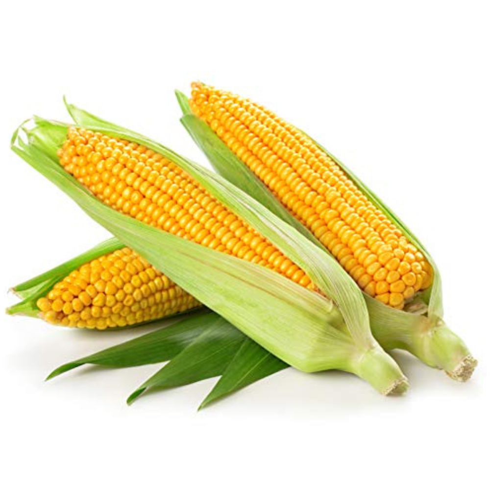 Corn