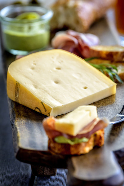 Semi Hard Toma Cheese
