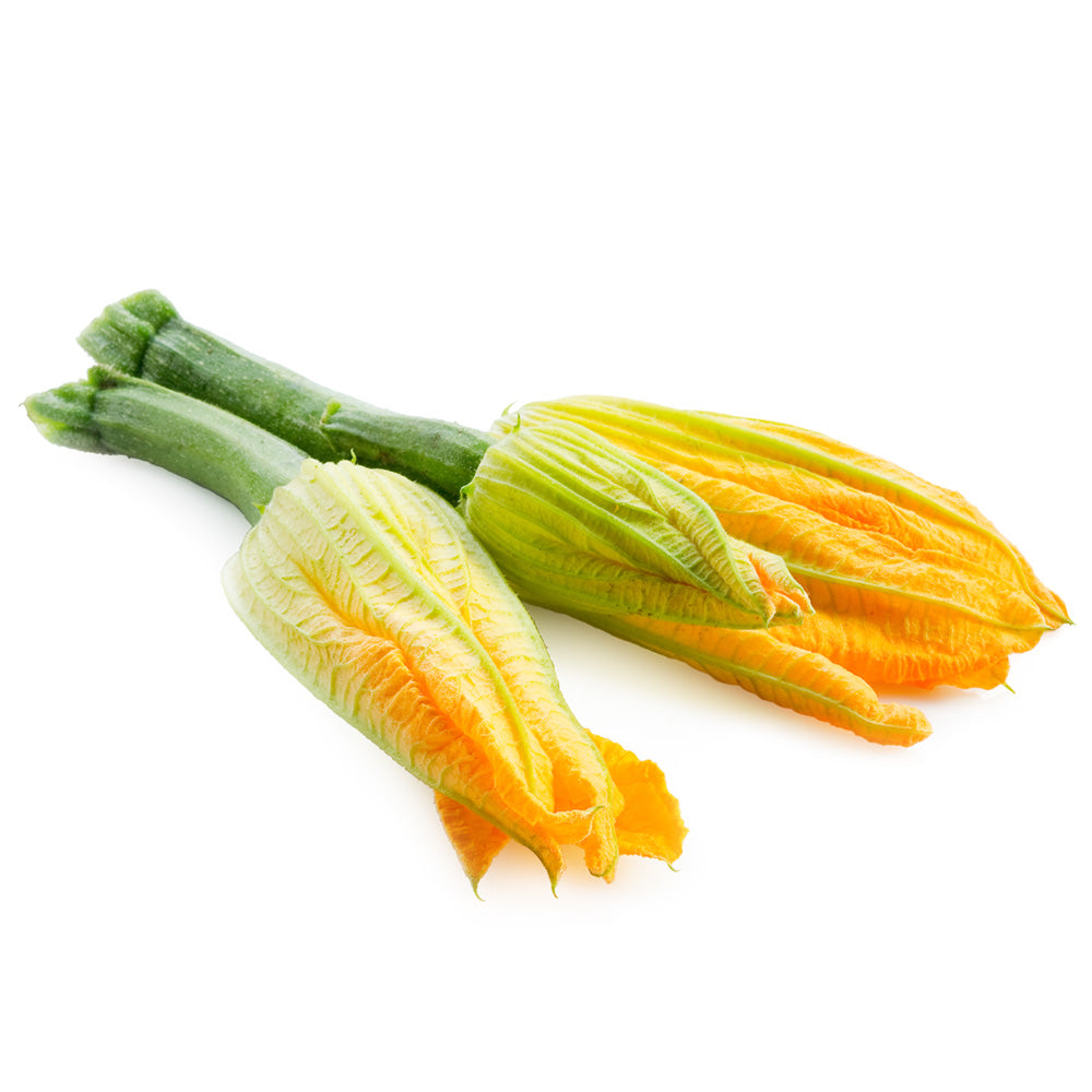 Imported Squash Blossom