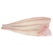 Fresh Halibut Fillet with Skin Off