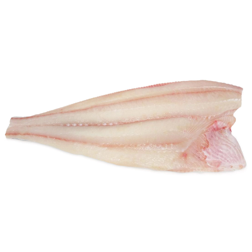 Fresh Halibut Filet With Skin On 10-16lb Avg