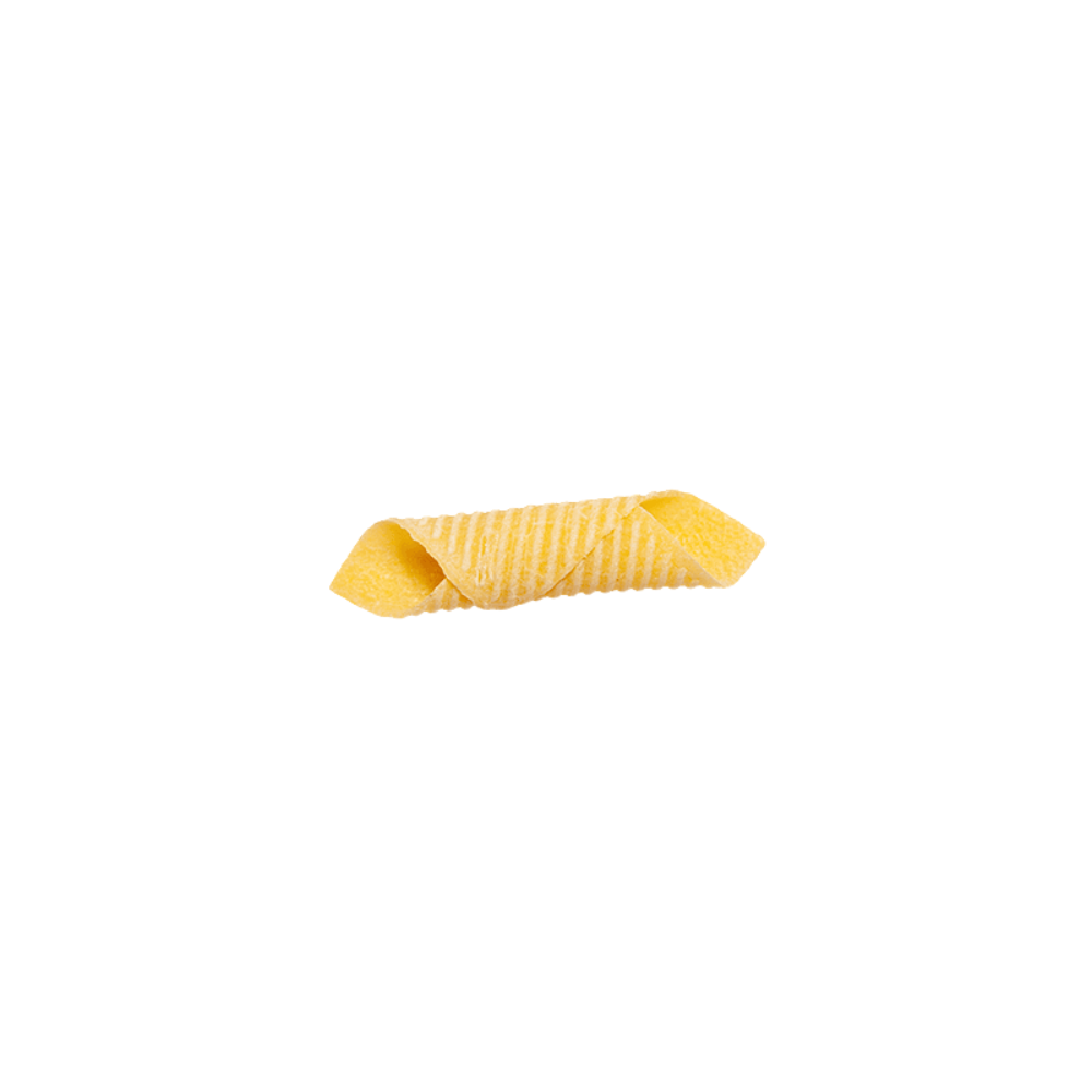 Egg Garganelli Pasta