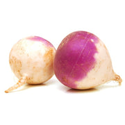 White Turnip