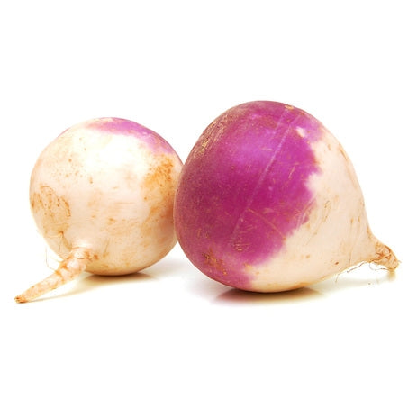 White Turnip
