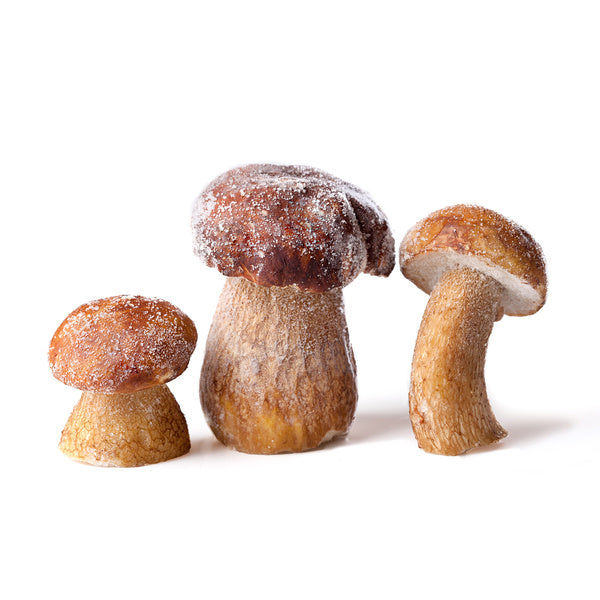 Whole Porcini Mushroom