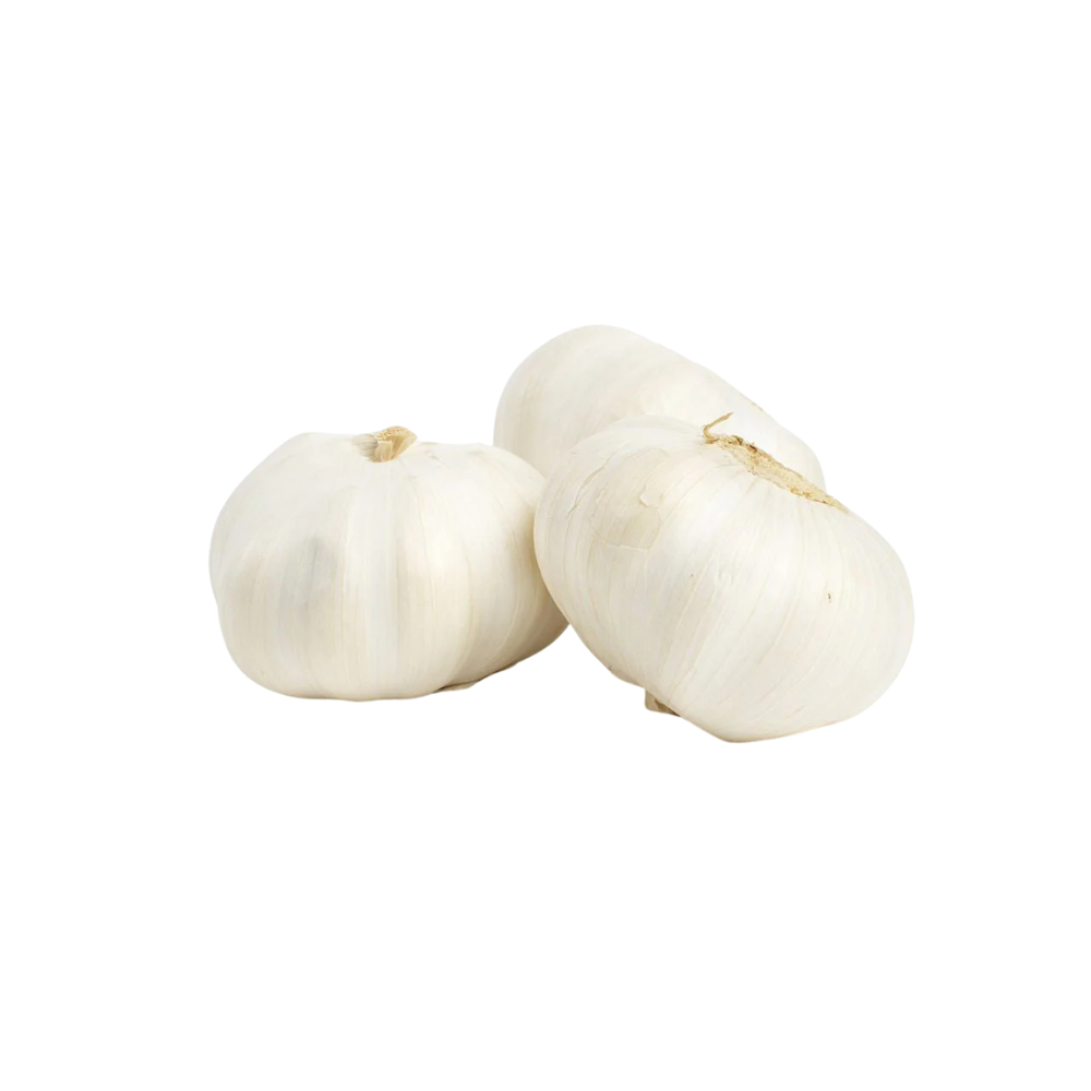 Super Colossal Garlic