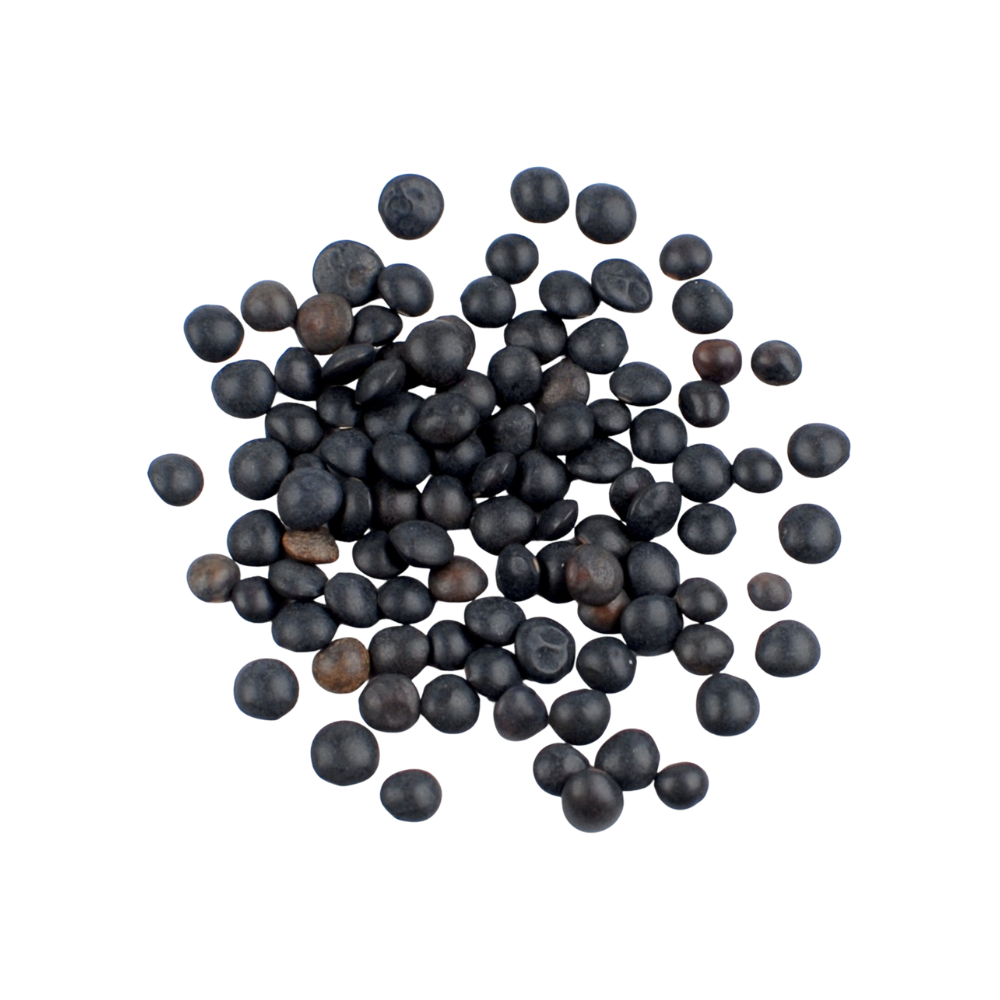 Beluga Lentil Beans