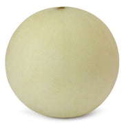 Honeydew Melon