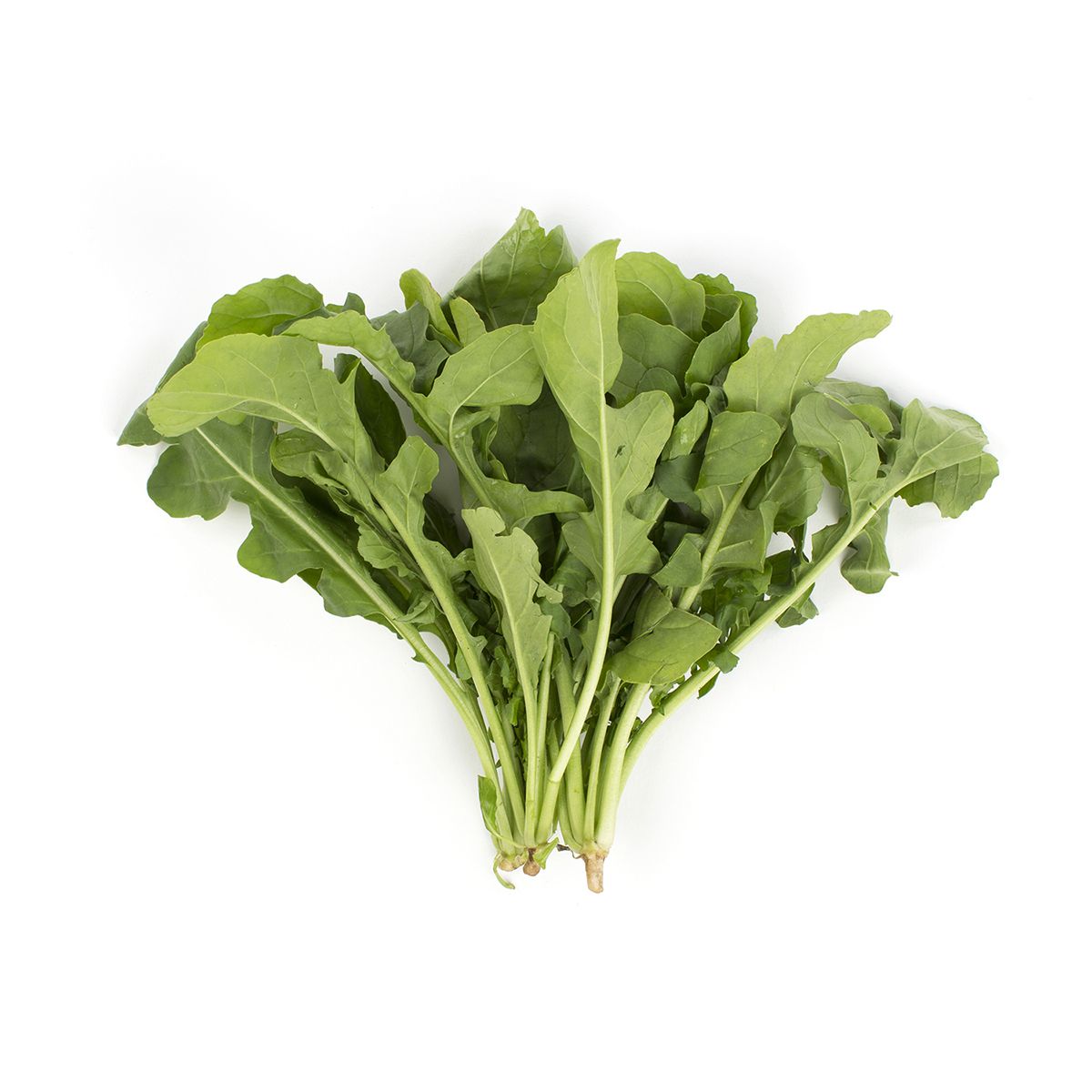 Bunched Arugula