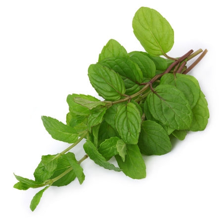 Mint