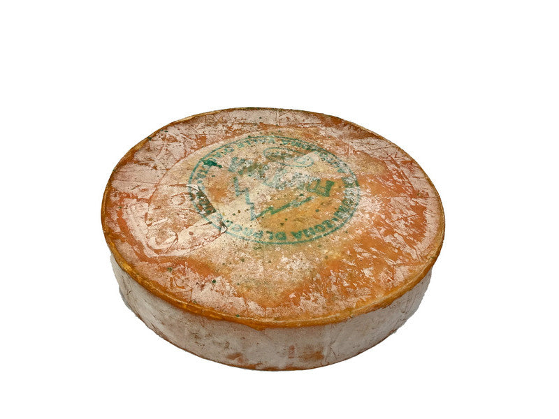 Fontina Val D'aosta Cheese
