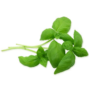 Cut & Clean Basil